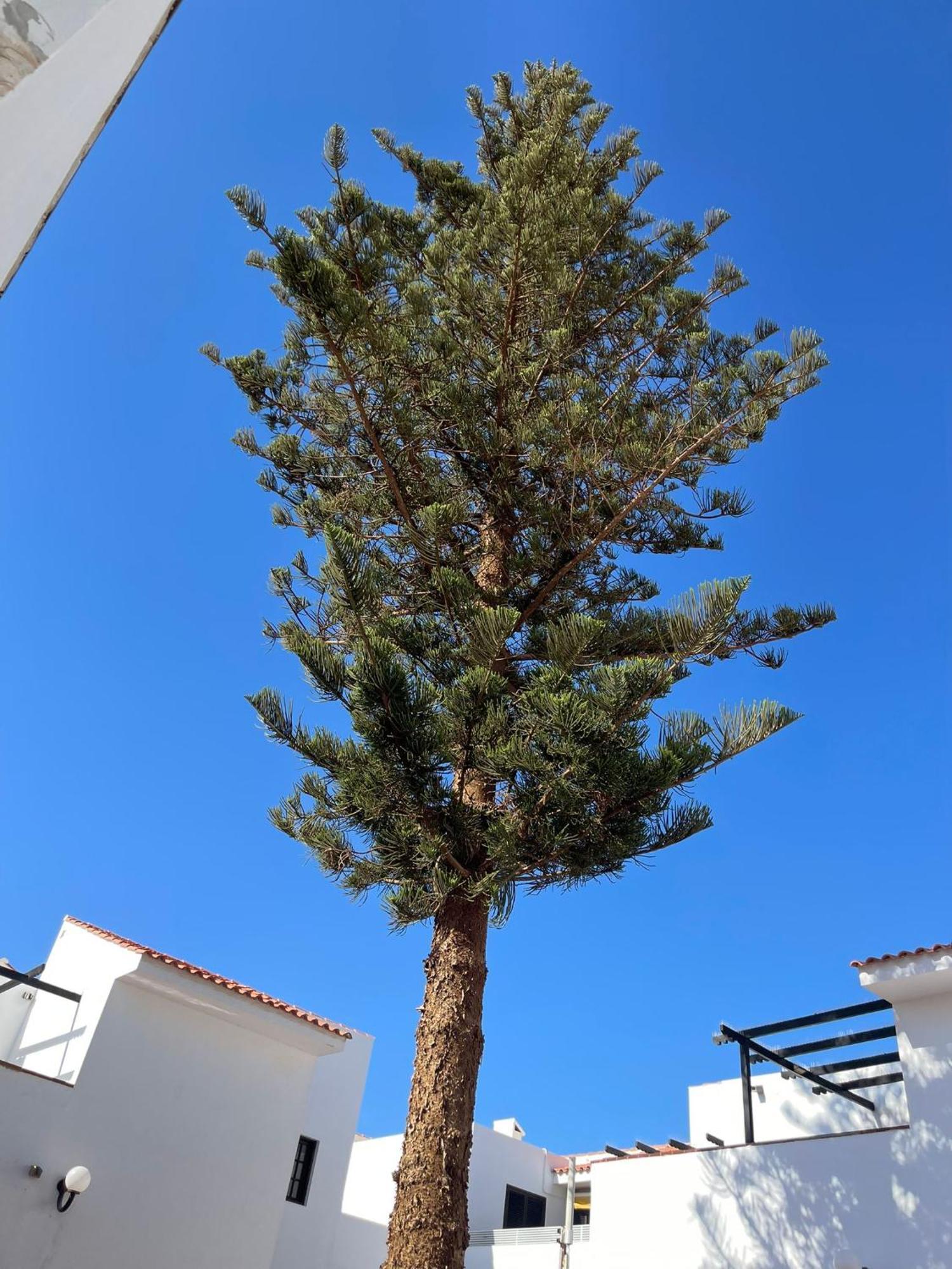 Apartamento Villa Florida 116 Caleta De Fuste Esterno foto